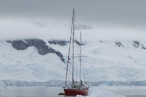 S/Y Selma. Horn - Antarktyda
