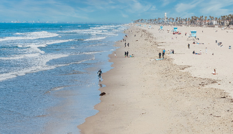 Wielki ząb na plaży