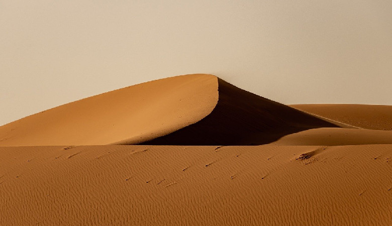 Sahara karmi ocean... i nie tylko