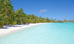 Tuvalu wytępiło inwazyjne gatunki