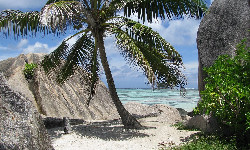 5 kg koralowca na pamiątkę. Rzeczywiście, będzie co pamiętać...