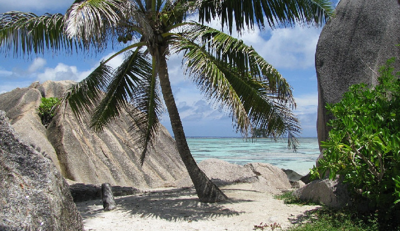 5 kg koralowca na pamiątkę. Rzeczywiście, będzie co pamiętać...