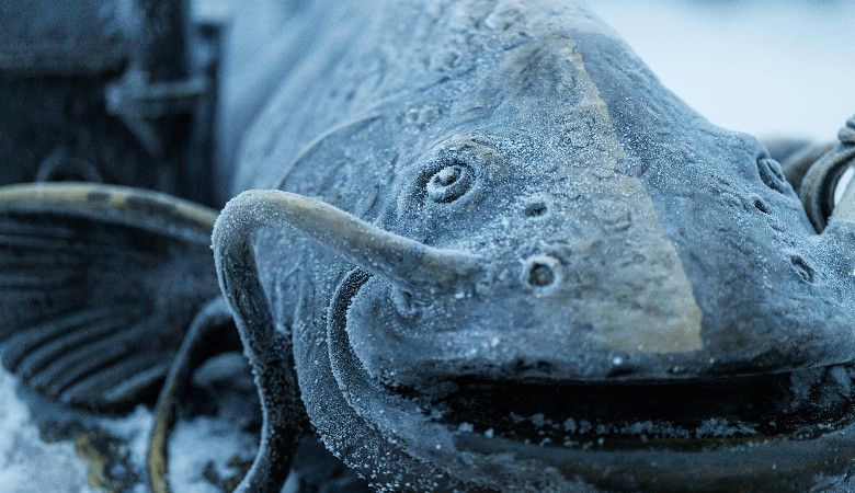 Niemcy: legendarna ryba jednak istniała