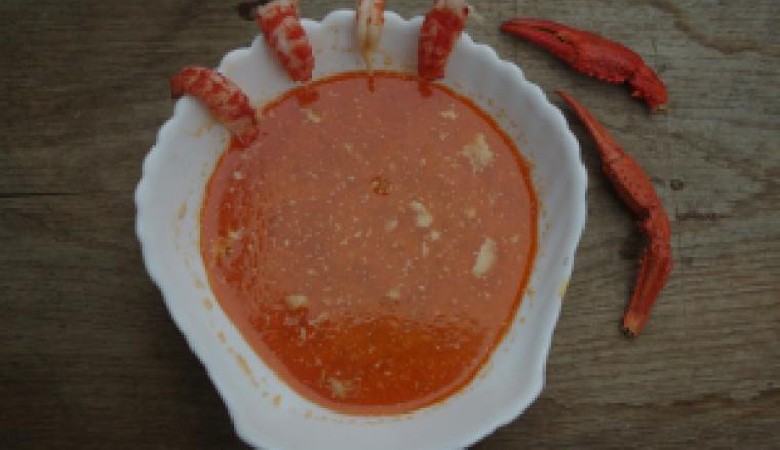 Zupa rakowa – historia miłosna