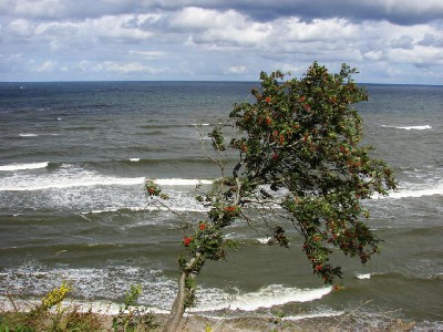 Wybrzeże Bałtyku