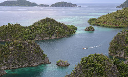 Google Australia zbuduje podmorskie kable dla Papui-Nowej Gwinei