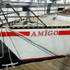 amigo50